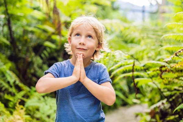 Schattige Kleine Jongen Bidden Het Bos — Stockfoto