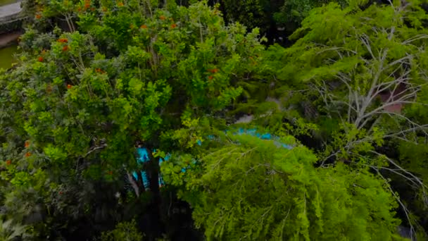 Foto aerea di un drone che si muove verso una piscina che può essere vista attraverso rami di grandi alberi tripici — Video Stock