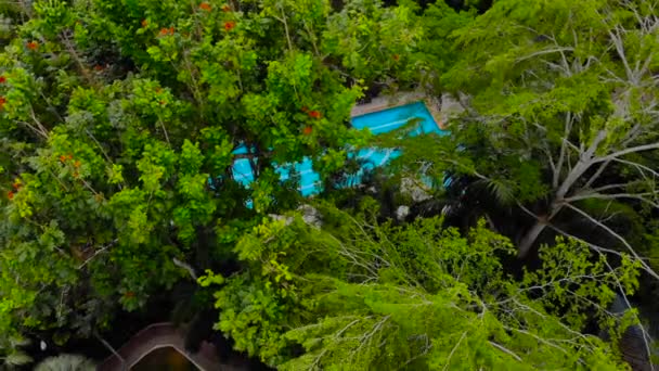 Antenn skott av en drönare som flyttar från en pool som kan bee sett genom stora tripical grenar — Stockvideo