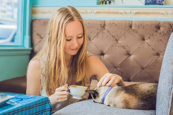 若い女性はコーヒーを飲みながら 猫をなでる — ストック写真