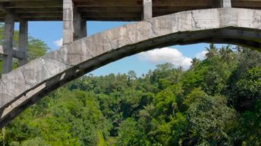 Hava atış onun alt tropikal içinde bir nehir ile bir Kanyon geçiş uzun köprü. Drone köprünün altından uçar