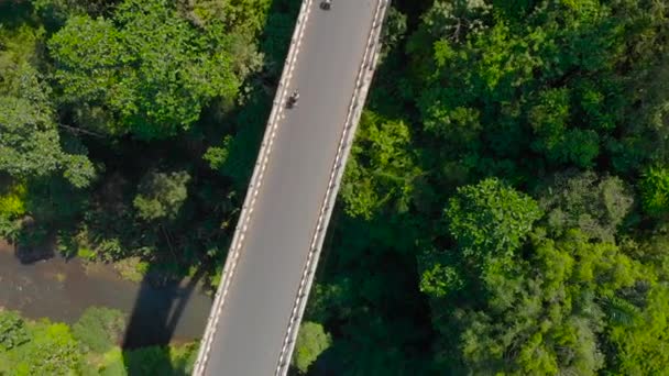熱帯地方でその下に川の渓谷を横断背の高い橋の空中ショットは。平面図です。ヘリの周りを旋回 — ストック動画