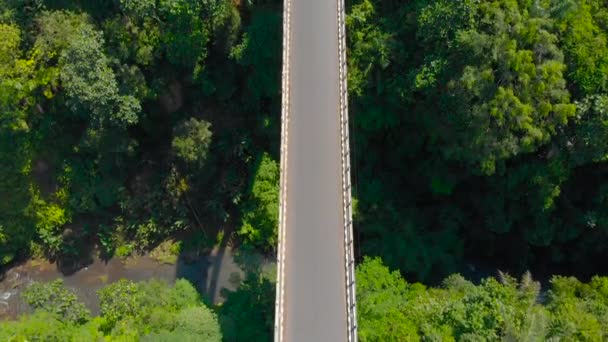 Aerial shot of a tall bridge crossing a canyon with a river on its bottom in tropics. Top view. copter follows the road — Stock Video