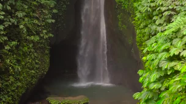 Leke Leke wodospad w dżunglach na Bali, Indonezja — Wideo stockowe