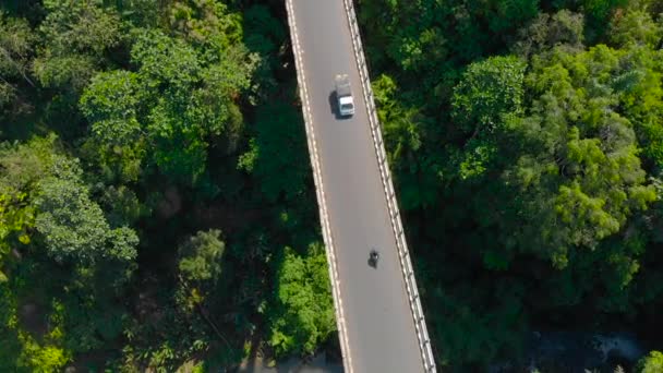 Luftaufnahme einer hohen Brücke, die einen Canyon überquert, auf dessen Grund ein Fluss in den Tropen fließt. Ansicht von oben. Hubschrauber kreist herum — Stockvideo