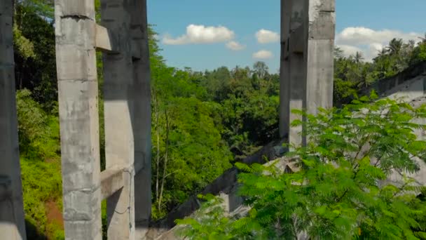 Aerial shot of a woman and her son walking the tall bridge crossing a canyon with a river on its bottom in tropics — Stock Video