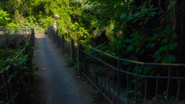 Steadycam atış küçük köprü Nehri ile Bali, Endonezya üzerine küçük bir yerel Tapınak