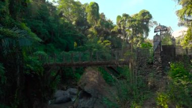 küçük bir köprü Nehri Bali, Endonezya üzerine küçük bir yerel tapınak ile hava atış. Kamera Bomlar kadar.