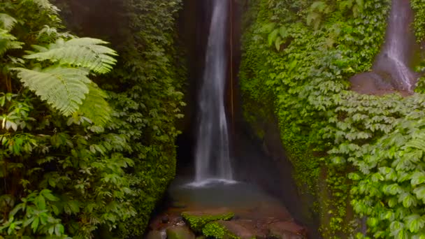 Veduta aerea della cascata Leke Leke nella giungla di Bali, Indonesia. Drone si sposta lentamente a sinistra — Video Stock