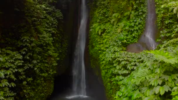 Vista aérea da cachoeira Leke Leke nas selvas de Bali, Indonésia. O drone sobe lentamente — Vídeo de Stock