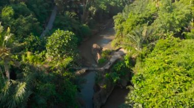 küçük köprü Nehri Bali, Endonezya üzerine küçük bir yerel tapınak ile hava atış