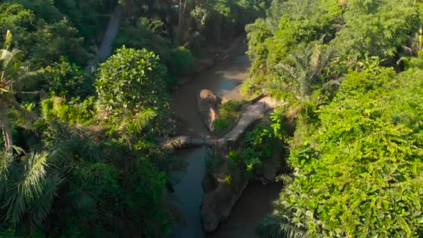 Antenn skott av en liten bro över floden med en små lokala tempel på den i Bali, Indonesien — Stockvideo