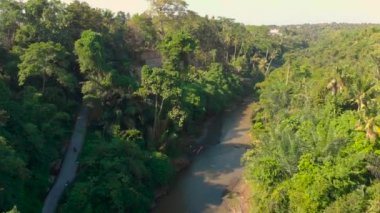 küçük köprü Nehri Bali, Endonezya üzerine küçük bir yerel tapınak ile hava atış