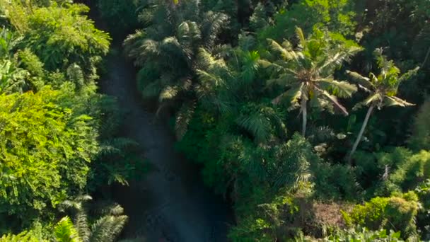 Luftaufnahme einer kleinen Brücke über den Fluss mit einem kleinen lokalen Tempel darauf in Bali, Indonesien. Drohne rotiert — Stockvideo