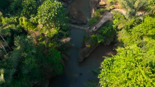 Antenn skott av en liten bro över floden med en små lokala tempel på den i Bali, Indonesien — Stockvideo