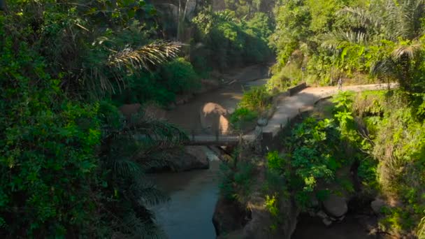 Ripresa aerea di un piccolo ponte sul fiume con un piccolo tempio locale su di esso a Bali, Indonesia — Video Stock