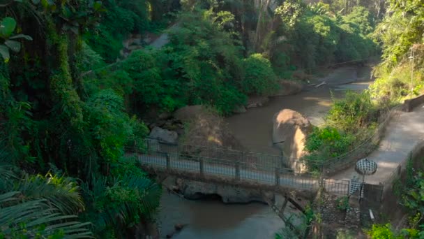 Luftaufnahme einer kleinen Brücke über den Fluss mit einem kleinen lokalen Tempel darauf in Bali, Indonesien — Stockvideo