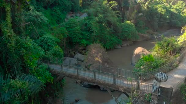 Luchtfoto van een bruggetje over de rivier met een kleine lokale tempel daarop in Bali, Indonesië — Stockvideo