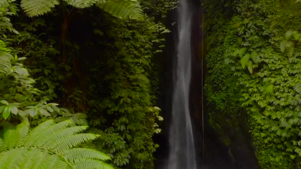 Luftaufnahme des leke leke wasserfalls im Dschungel von bali, indonesia.drone bewegt sich von einem wasserfall — Stockvideo