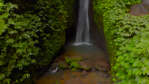 Пташиного польоту леков леков водоспад в джунглях Балі, Індонезія. Камера tilts вгору — стокове відео