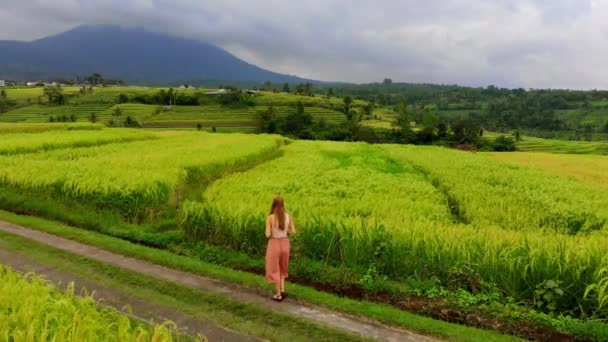 Luftaufnahme Einer Jungen Frau Die Der Nähe Von Reisfeldern Unterwegs — Stockvideo