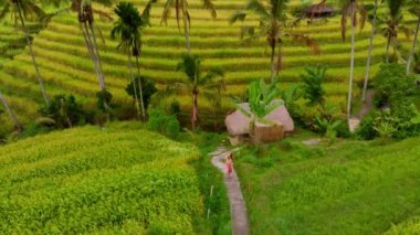 Genç kadının pirinç tarlaları yakınındaki karayoluyla yürüyüş havadan görünümü