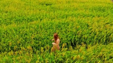 Pirinç tarlaları yakınındaki karayoluyla gündüz yürüyen Güzellik genç kadın