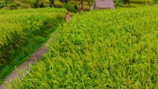 Beleza Jovem Caminhando Por Estrada Perto Campos Arroz Durante Dia — Vídeo de Stock