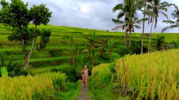 Beauté Jeune Femme Marchant Par Route Près Des Rizières Jour — Video