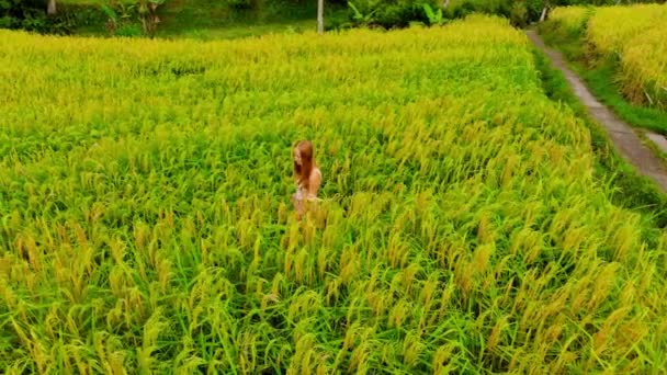 Beleza Jovem Caminhando Por Estrada Perto Campos Arroz Durante Dia — Vídeo de Stock