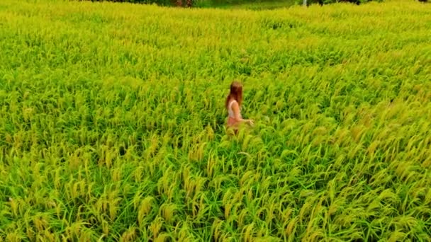 Schoonheid Jonge Vrouw Lopen Weg Buurt Van Rijstvelden Overdag — Stockvideo