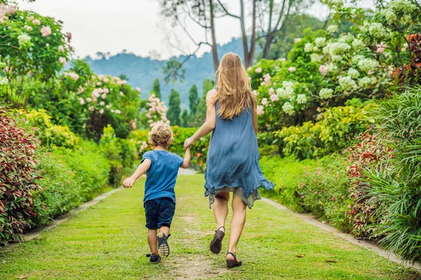 Máma Syn Jsou Pobíhají Kvetoucí Zahradě Šťastný Rodinný Život Styl — Stock fotografie
