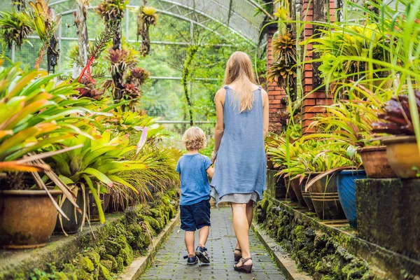 Anne ve oğlu tropikal parkta yürüyüş.
