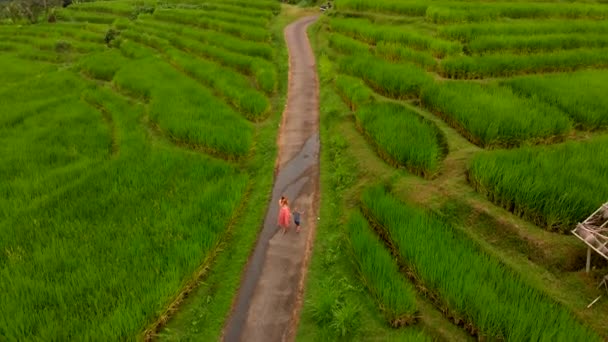 在巴厘岛的米梯田上漫步的年轻女子和儿子鸟瞰图 — 图库视频影像