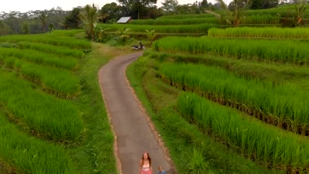 Hoge Hoekmening Van Jonge Vrouw Zoon Wandelen Langs Rijstvelden Bali — Stockvideo