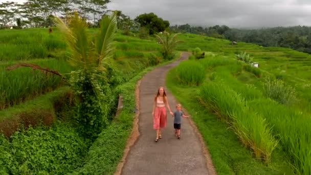 Jovem Mulher Filho Caminhando Longo Caminho Estreito Através Plantação Arroz — Vídeo de Stock