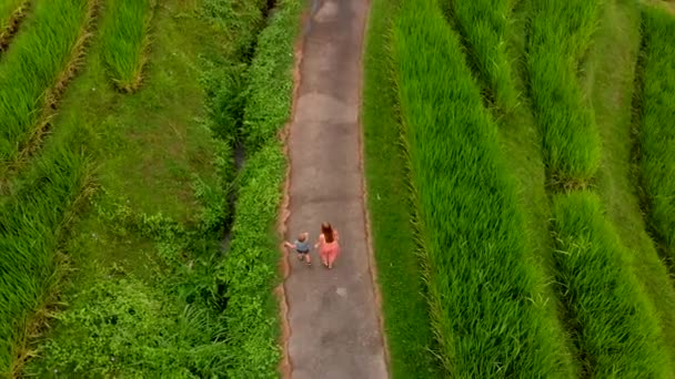 在巴厘岛上沿米梯田漫步的年轻女子和儿子的背景色 — 图库视频影像