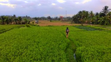 Bali Adası'güzel pirinç tarlaları yürüyen bir genç adam hava atış