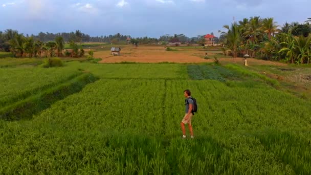 Luftaufnahme eines jungen Mannes, der an schönen Reisfeldern auf der Insel Bali entlang geht — Stockvideo