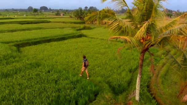 Luftaufnahme eines jungen Mannes, der an schönen Reisfeldern auf der Insel Bali entlang geht — Stockvideo