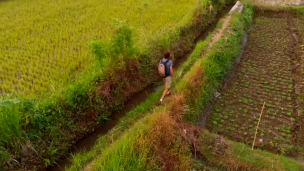 Снимок молодого человека, идущего вдоль красивых рисовых полей на острове Бали — стоковое видео