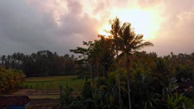 Bali Adası'günbatımı sırasında bir güzel pirinç tarlaları hava atış