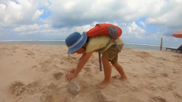 Persistant petit garçon pousser une grosse pierre sur une plage avec de grandes vagues Melasti Beach sur l'île de Bali, indonésienne. tourné sur lentille fisheye — Video