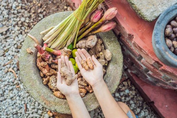 Gengibre Gengibre Rosa Mãos Femininas Contexto Temperos — Fotografia de Stock