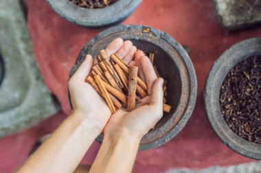 Tarçın baharat bir arka plan üzerinde kadın elinde sopa.