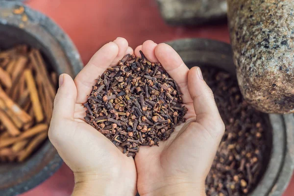 Sazón Clavel Manos Femeninas Granos Clavel Hierbas Medicinales Herbales Granos — Foto de Stock