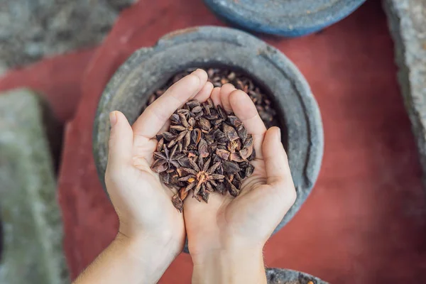 Badyan Anise Tangan Perempuan Terhadap Latar Belakang Rempah Rempah — Stok Foto