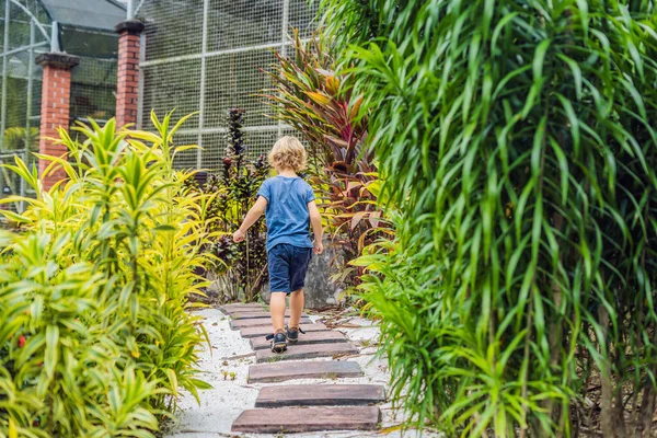 Çocuk tropikal bir parkta bir yolda yürüyor.