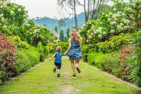 Moeder Zoon Lopen Rond Bloeiende Tuin Gelukkige Familie Levensstijl Concept — Stockfoto