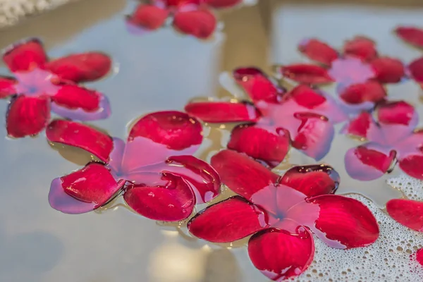 Крупный План Красных Цветов Франжипани Гидромассажной Ванне — стоковое фото
